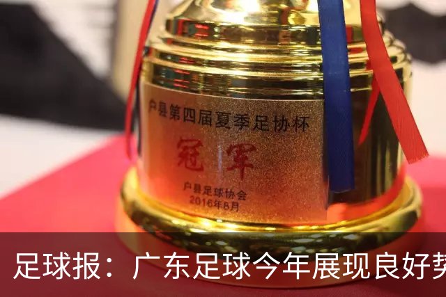 足球报：广东足球今年展现良好势头，广州豹、深圳青年人全力冲超